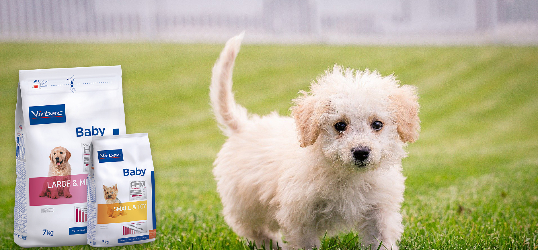 Hundefutter für Welpen