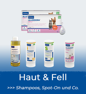 Haut und Fell