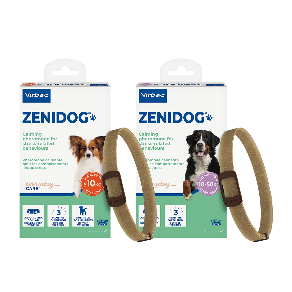 Zenidog Halsband mit beruhigenden Pheromonen mittelgro�e und gro�e Hunde von Virbac Bild 2