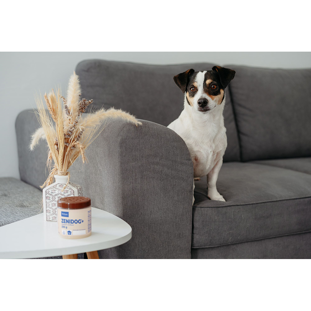 Zenidog Gel - Diffuser mit beruhigenden Pheromonen f�r Hunde von Virbac Bild 3