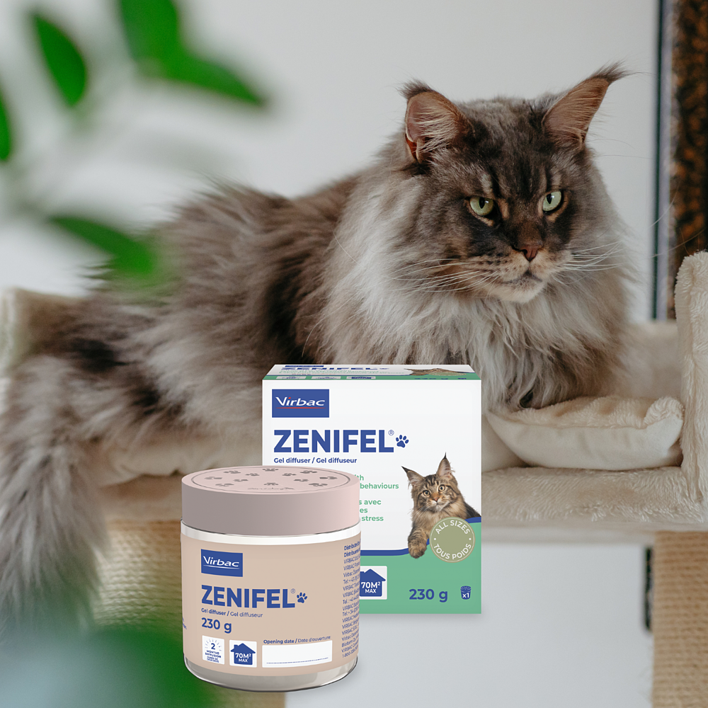 Zenifel Gel -  Diffuser mit beruhigenden Pheromonen fr Katzen von Virbac Bild 2