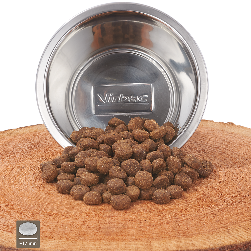 Senior Large & Medium Dog 12 kg von Virbac Bild 4