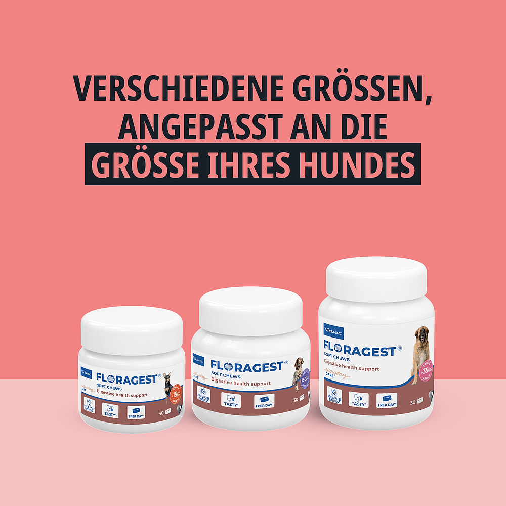 Floragest S von Virbac Bild 5