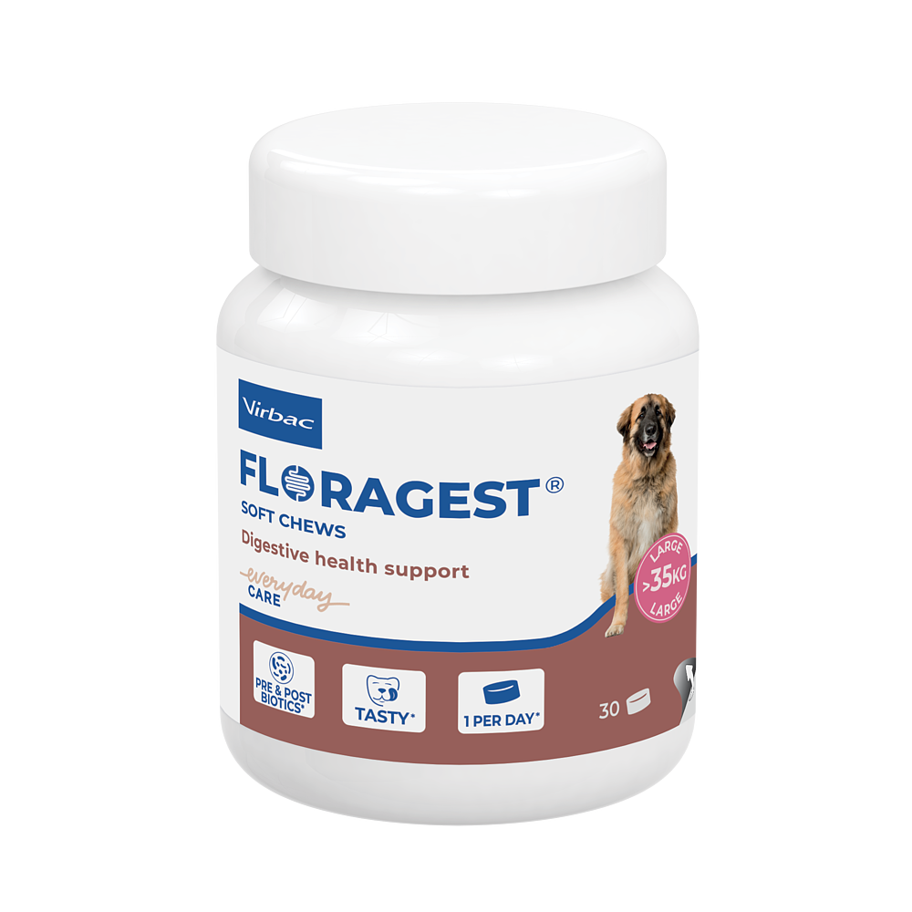 Floragest L von Virbac