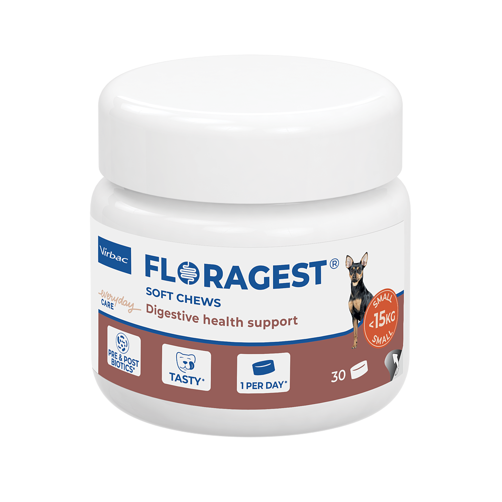 Floragest S von Virbac