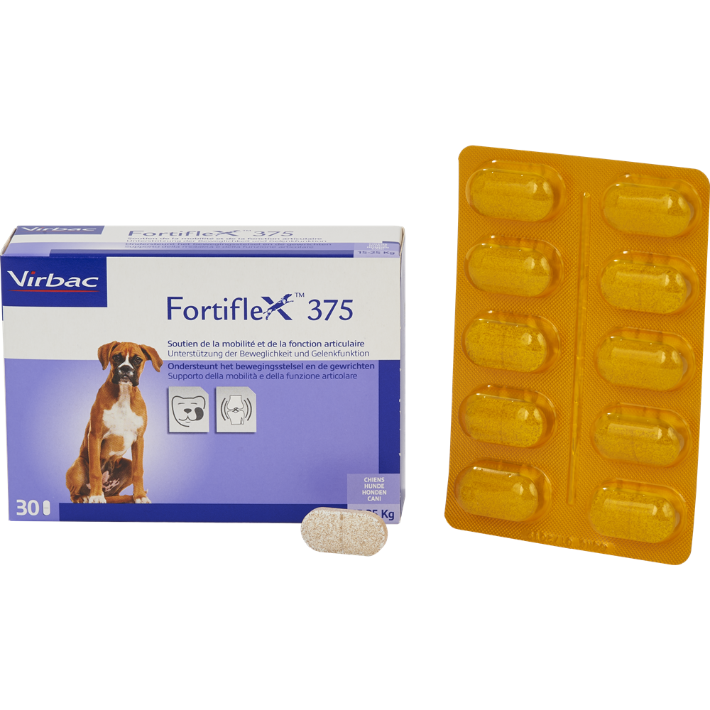 Fortiflex 375 - Spezialprodukte