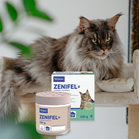 Zenifel Gel -  Diffuser mit beruhigenden Pheromonen fr Katzen von Virbac Bild 2