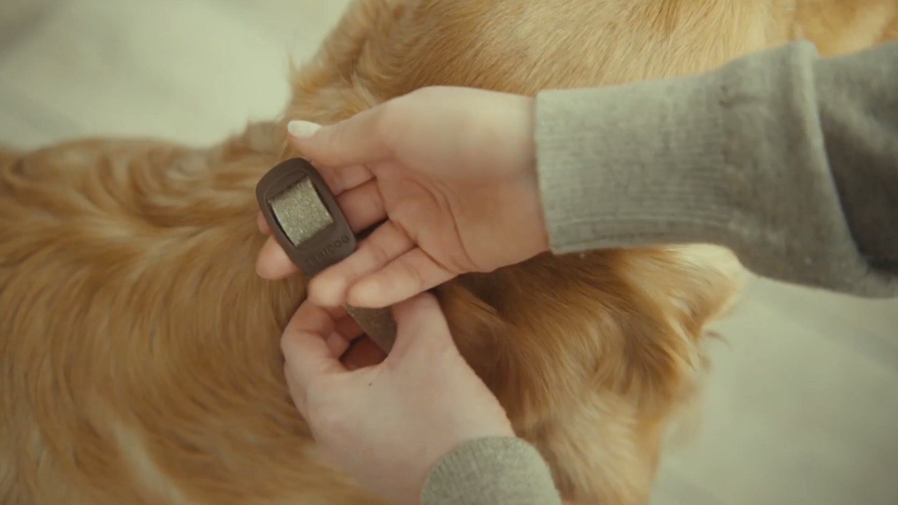 Zenidog Halsband mit beruhigenden Pheromonen kleine Hunde Video