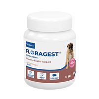 Floragest L von Virbac