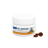 Movoflex Soft-Chews f�r Katzen von Virbac